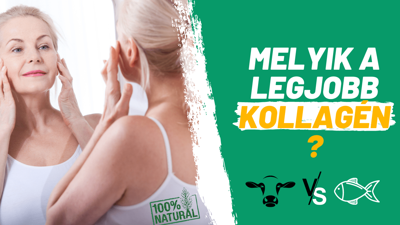 melyik a legjobb kollagén
